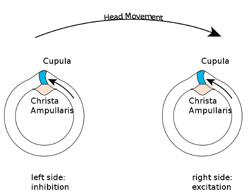 4122_bkl0_1751.png