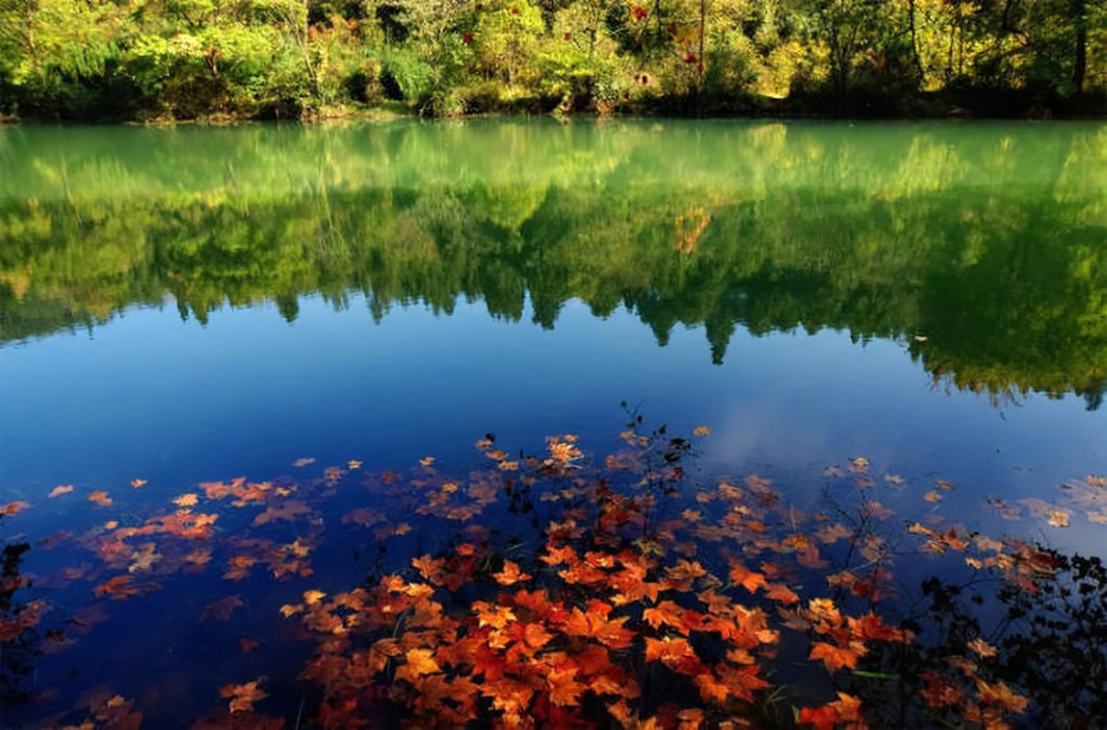 12764_rlqg_8136.jpg