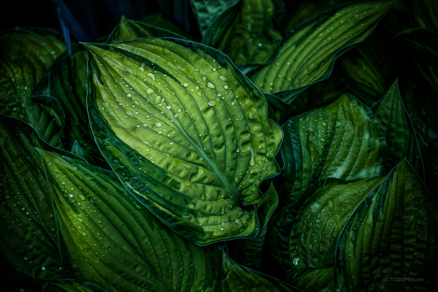 41945_1lpx_4681.jpg
