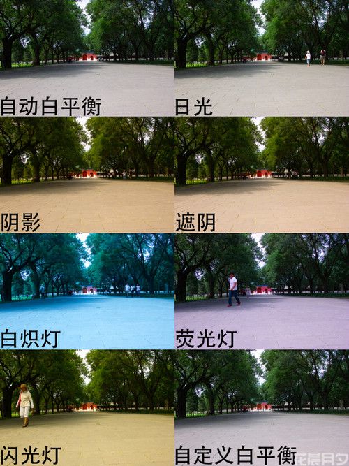 摄影中白平衡的应用技巧及重要性
